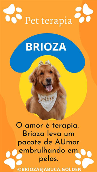 Pet Terapia para Idosos em Santos | São Vicente | Praia Grande | Guarujá | Baixada Santista | Villa Verde